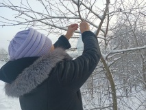Экологическая акция «Покорми птиц зимой»