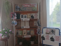 Обзор у книжной выставки "Великий писатель земли русской"