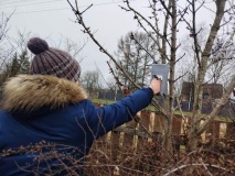 Экологический час «Синичкин день»
