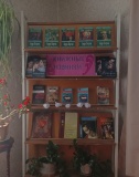 День информации «Книжные новинки»