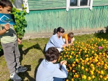 Акция «Капля жизни»