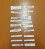 Информационный час «В единстве народов – сила России»