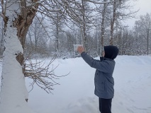 Экологический час "Трудно птицам зимовать, надо птицам помогать!"
